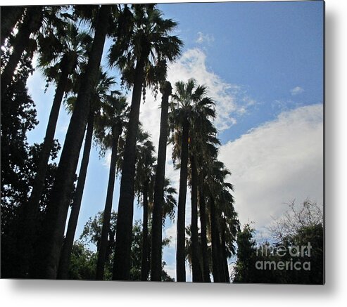 Athens Metal Print featuring the photograph Palm trees in Athens #2 by Chani Demuijlder