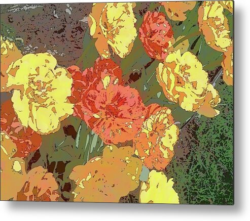 Tulip Metal Print featuring the photograph Tulips #1 by Tim Donovan