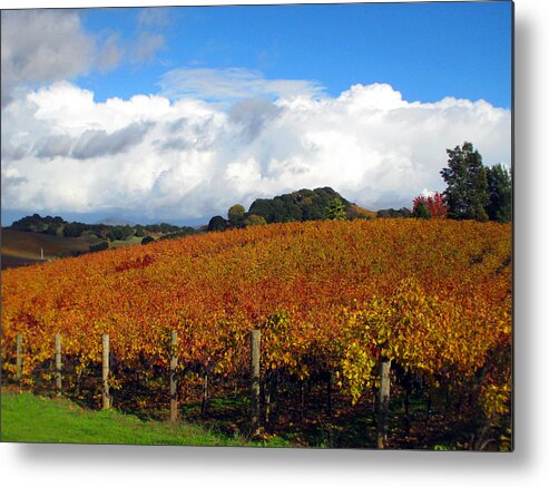 Napa Metal Print featuring the photograph Untitled #2 by Kim Pascu