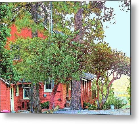  Metal Print featuring the photograph Idyllwild - Houses on the Hill #20 by Lisa Dunn