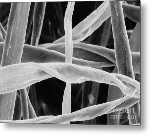 Sem Metal Print featuring the photograph Cotton Fibers #3 by Science Source
