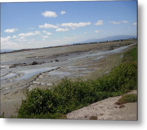 Bay Metal Print featuring the photograph Mud Flats #4 by Edward Wolverton
