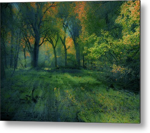 Trees Metal Print featuring the photograph 4363 by Peter Holme III
