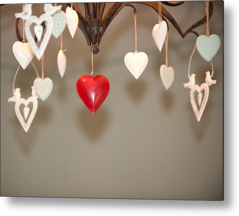 Heart Metal Print featuring the photograph A Heart Among Hearts i by Helen Jackson