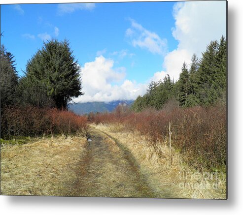 Trees Field Bushes Mountains Clouds Sky Trail Brush Grass Puddle Blue Green Yellow White Light Shadow Dark Bright Brown Metal Print featuring the painting A long walk by Ida Eriksen