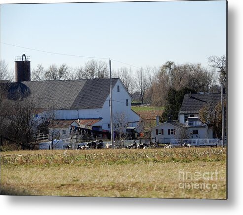 Amish Metal Print featuring the photograph A Sunny November Afternoon by Christine Clark