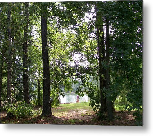 Trees Metal Print featuring the photograph A Walk by the Lake by Diane Ferguson