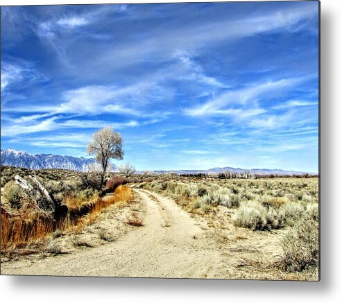 Sky Metal Print featuring the photograph A Warm February by Marilyn Diaz