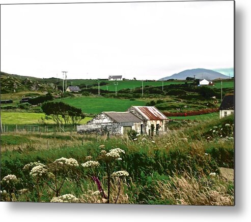 Flowers Metal Print featuring the photograph Abandoned Cottage by Stephanie Moore