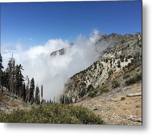 Clouds Metal Print featuring the photograph Above the Clouds by Ed Clark