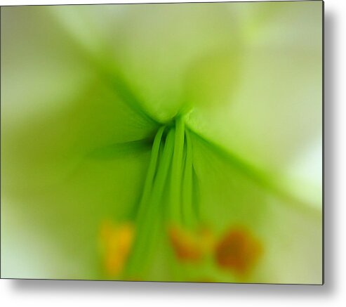 Lily Metal Print featuring the photograph Abstract Easter lily Petals by Juergen Roth