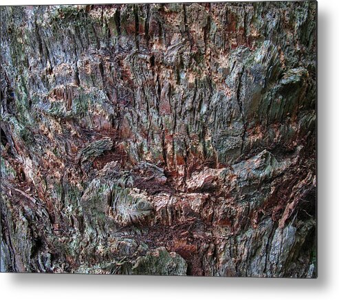 Abstract Metal Print featuring the photograph Abstract Tree Bark by Juergen Roth