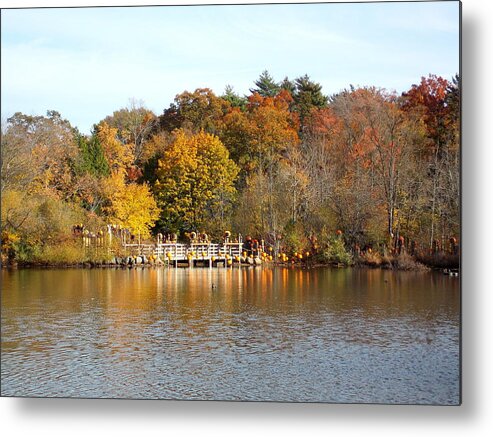 Roger Williams Park Metal Print featuring the photograph Across the Pond by Catherine Gagne