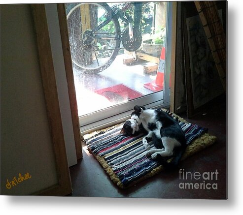 Afternoon Metal Print featuring the photograph Afternoon Sleeping by Sukalya Chearanantana