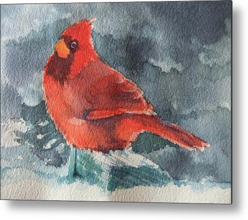 Watercolor Metal Print featuring the painting All Puffed Up by Donna Pierce-Clark