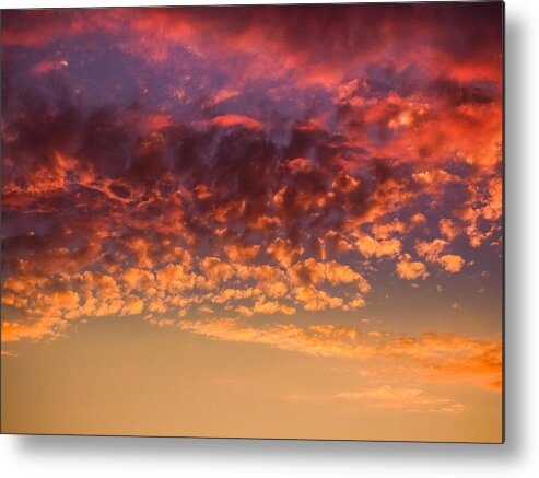 California Metal Print featuring the photograph Almost Autumn by Pamela Newcomb