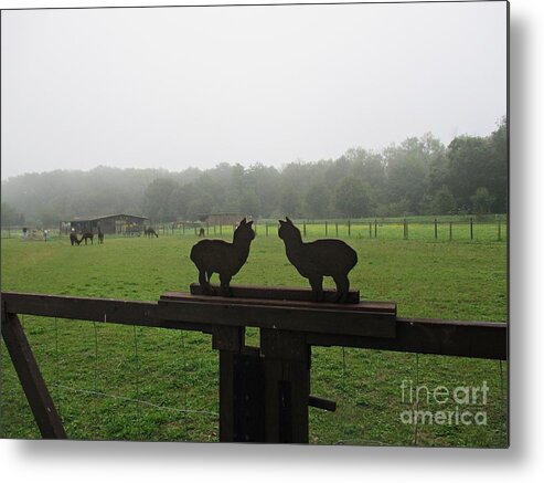 Alpaga Metal Print featuring the photograph Alpaca Farm in Vockerode by Chani Demuijlder