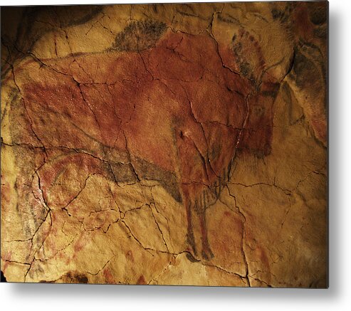 Cave Painting Metal Print featuring the photograph Altamira Cave Painting Of A Bison by Javier Truebamsf