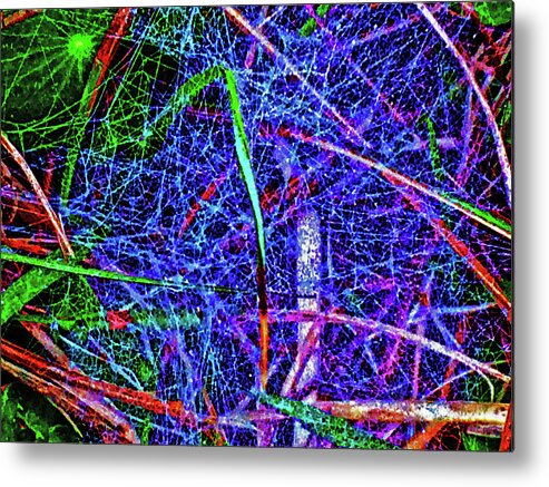 Web Metal Print featuring the photograph Amazing Invisible Web by Gina O'Brien