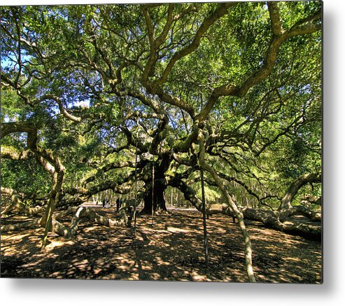 Angel Tree Charleston Metal Print featuring the photograph Angel Oak by Mike Covington