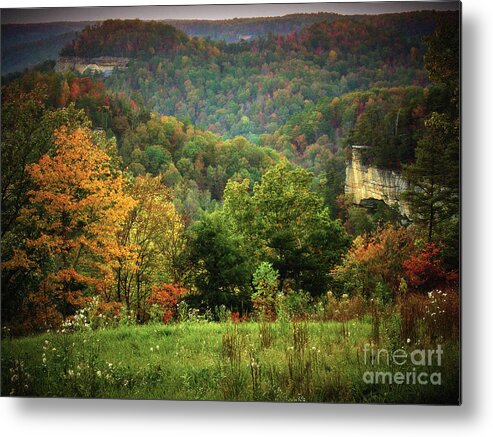 Big Metal Print featuring the photograph Arches in Big South Fork by Stanton Tubb