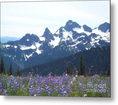 Wildflowers Metal Print featuring the photograph Arctic Wildflower Meadow at Snowy Peaks by Carol Riddle
