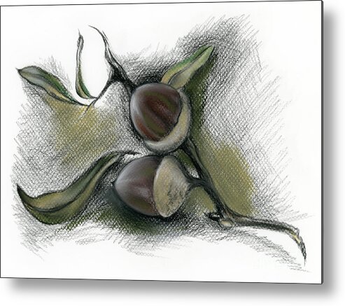 Botanical Metal Print featuring the drawing Autumn Acorns on an Oak Twig by MM Anderson