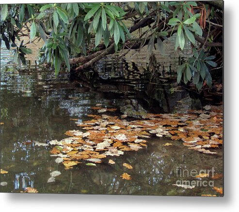 Lake Metal Print featuring the photograph Autumn At Cuerden Lake by Kim Tran