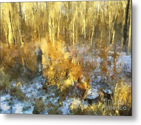 Woods Metal Print featuring the photograph Autumn Gold by Claire Bull