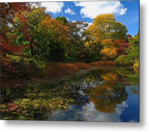 Autumn Metal Print featuring the photograph Autumn Landscape by Juergen Roth
