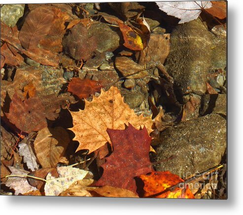 Autumn Leaves Metal Print featuring the photograph Autumn Leaves Under Water by Anita Adams