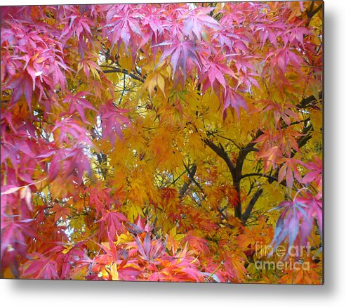 Autumn Metal Print featuring the photograph Autumn Pink by Jeff Breiman