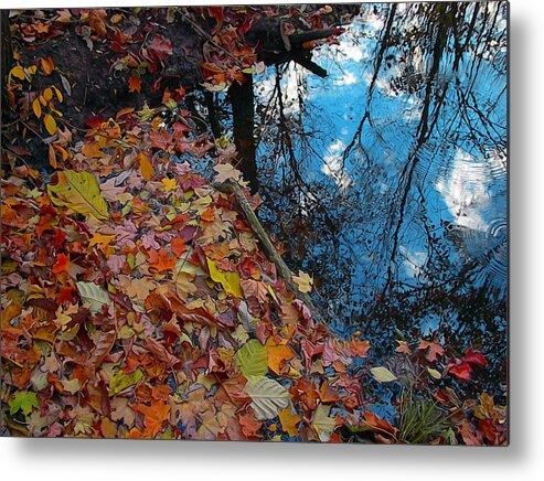 Autumn Metal Print featuring the photograph Autumn reflections by Gina Signore