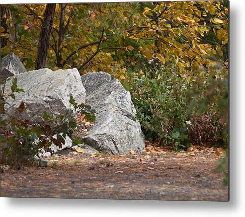 American Metal Print featuring the photograph Autumn Trail by Jim DeLillo