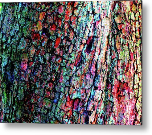 Bark Metal Print featuring the photograph Bark by Linda Stern