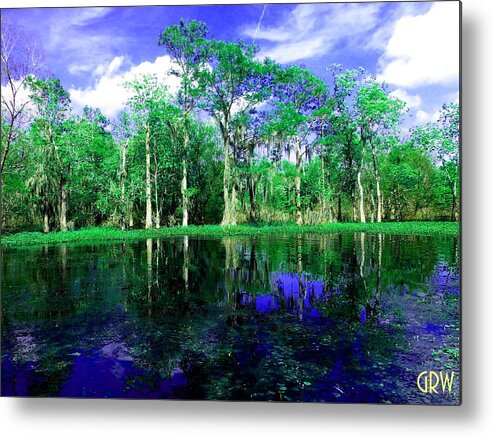 Bayou Metal Print featuring the photograph Bayou Reflections by Gina Welch