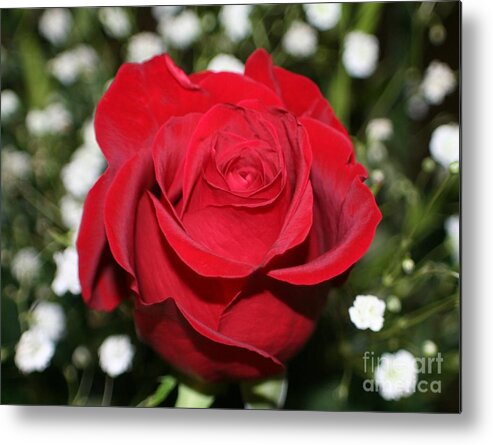 Flower Metal Print featuring the photograph Be Mine by Barbara S Nickerson
