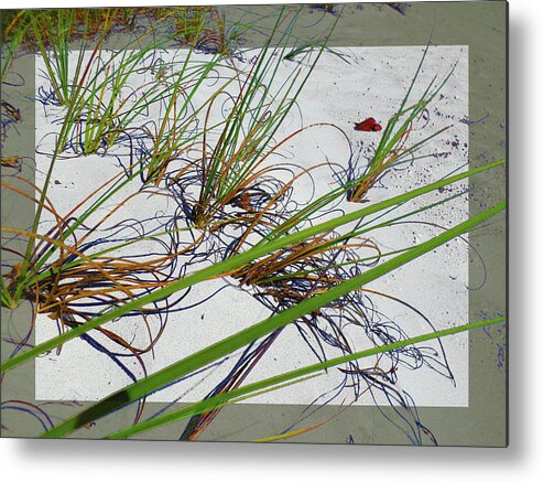 Beach Metal Print featuring the photograph Beach Grass by Ginny Schmidt