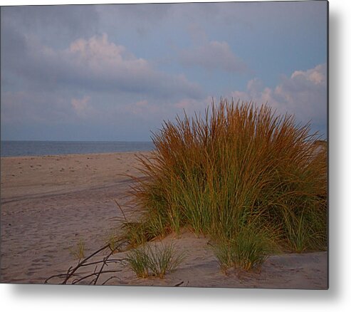 Beach Metal Print featuring the photograph Beach Grass I I I by Newwwman