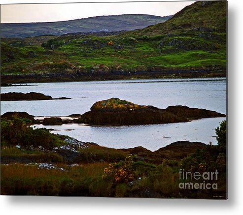 Fine Art Photography Metal Print featuring the photograph Beauty on the Rocks by Patricia Griffin Brett