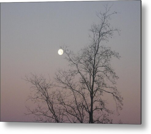  Metal Print featuring the photograph Before The Dawn by Hank Moats