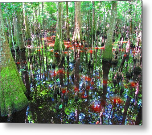 Relic Woodland Metal Print featuring the photograph Beidler Forest by Joshua Bales