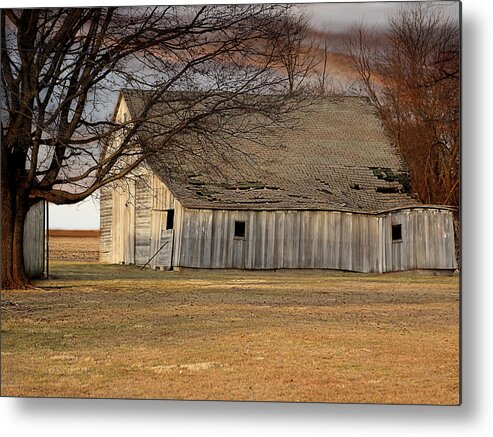 Farm Metal Print featuring the photograph Bent But Unbroken by Theresa Campbell