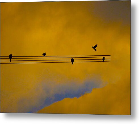 Bird Metal Print featuring the photograph Bird Song by Mark Blauhoefer