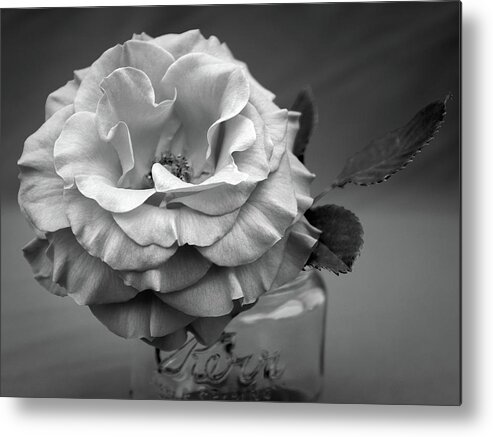 Rose Metal Print featuring the photograph Black and White Rose Antique Mason Jar by Kathy Anselmo