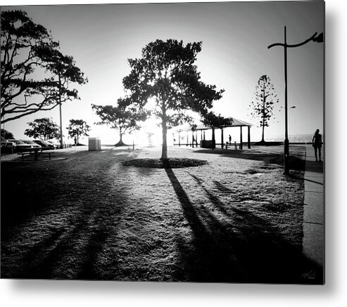 Tree Metal Print featuring the photograph Black N White Tree Of Shadow Or Light by Michael Blaine