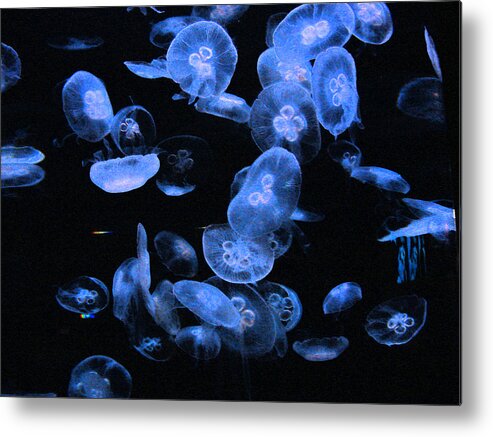 Jellyfish Metal Print featuring the digital art Blue by the Sea by Bobby Miranda