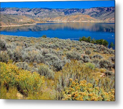 Landscape Metal Print featuring the photograph Blue Mesa Reservoir 1 by Diana Douglass