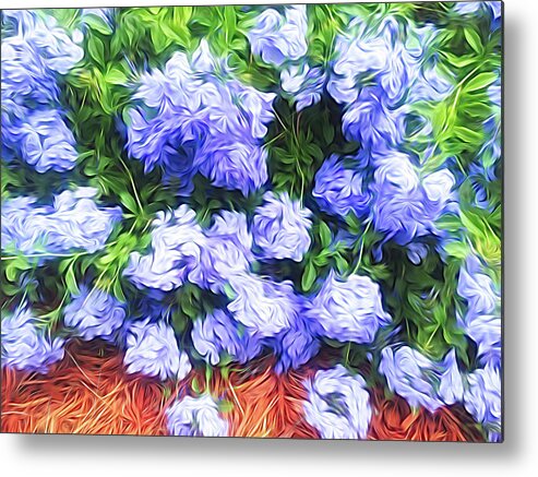 Flower Metal Print featuring the photograph Blue Plumbago Blossoms Abstract by Aimee L Maher ALM GALLERY