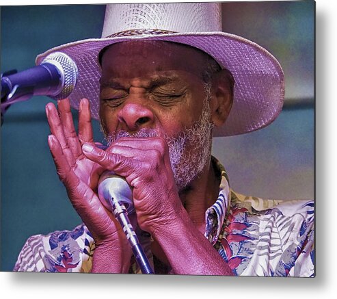 Blues Metal Print featuring the photograph Blues Harp by C H Apperson